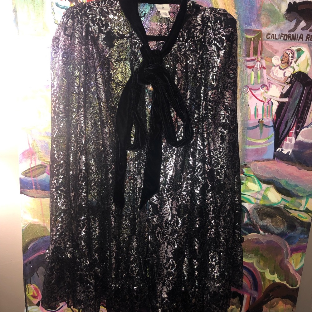 Vampire’s Wife X H&M Gothic Black Cape with Silver Metallic Iridescence